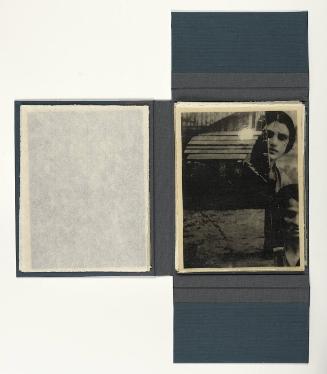 The Holocaust Series VIII, A Children's Tale