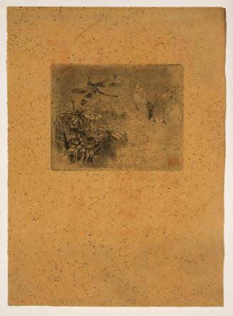 Japonisme, Ex-libris, papillon et libellule