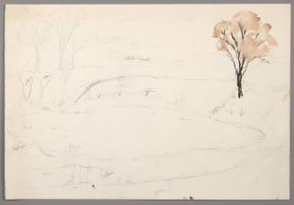 Landscape with pond (unfinished)