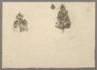 Studies of trees