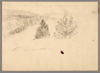 Sketch of a landscape with trees