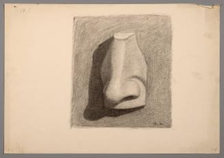 Untitled: Study of a nose