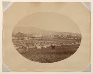 View of Williams College Campus Looking East