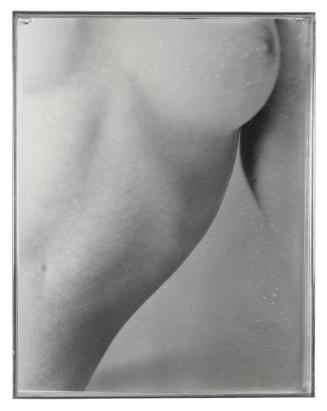 Female Torso