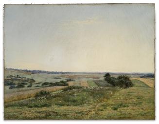 Summer Landscape