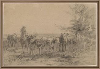 Cattle at Pasture