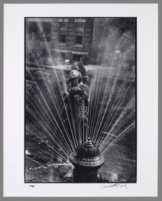 Harlem, NY, USA (Hydrant)