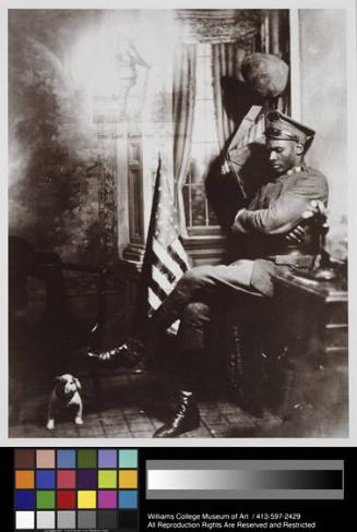 © Donna Mussenden Van Der Zee 