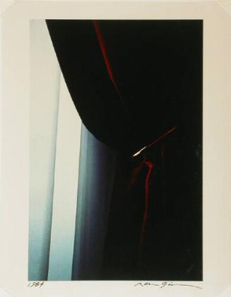 Untitled: curtain, Paris (from Theorem)
