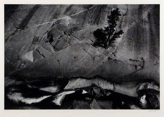 Juniper, Cliffs and River, Upper Merced River Canyon, Yosemite National Park