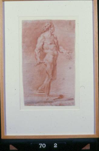 Standing male nude