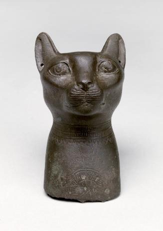 Head of a Cat